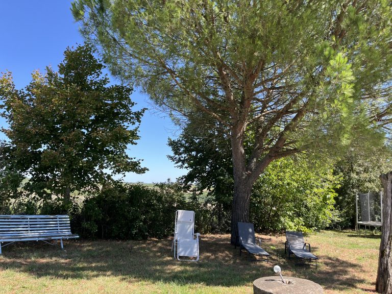 espace-partage-jardin-grand-air