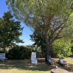 espace-partage-jardin-grand-air
