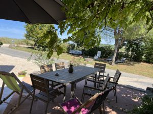 vacances-soleil-nature-famille-animaux